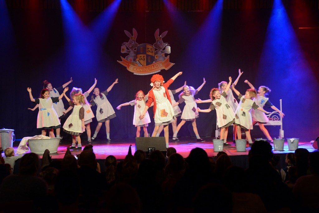 ../Images/Dansmarieke festival 2015 395.jpg